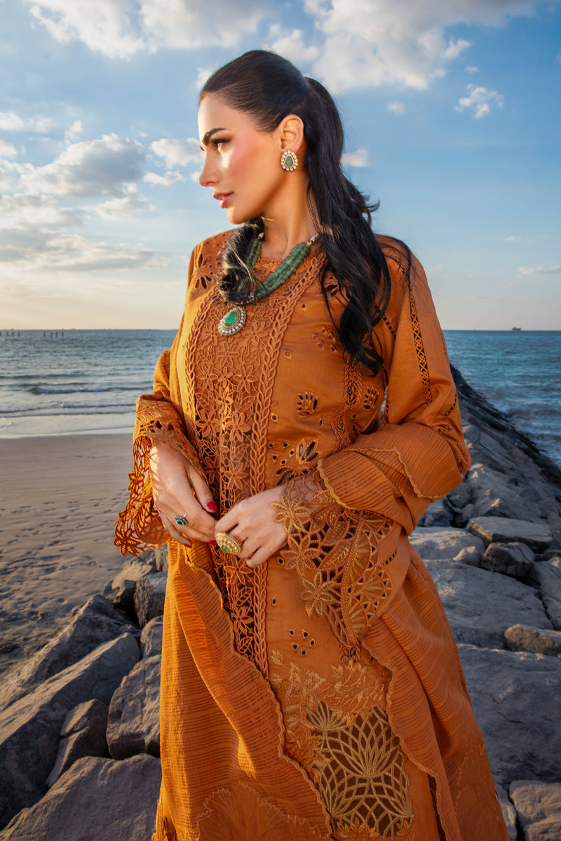 Stitched Rang Rasiya Premium Lawn 2025 | D-12 | Inspired | Stitched by Rang